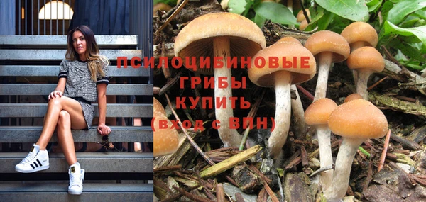 mix Белокуриха