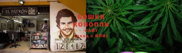 мдпв Кодинск
