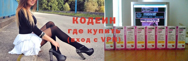 мдпв Кодинск