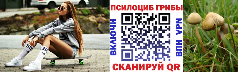 Купить где  Белоозёрский  Псилоцибиновые грибы MAGIC MUSHROOMS 